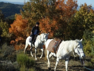  Pbaños a caballo por el Verdon y el macizo de los Alpilles 